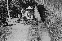 藏品(高雄鄉間農作景象-30)的圖片