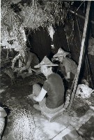 藏品(唐榮鐵工廠股份有限公司工作場景-50)的圖片