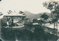 藏品(望旗山)的圖片