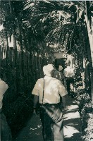 藏品(高雄市郊外洋蘭栽培家李金盛邸玄關)的圖片