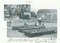 藏品(烏魚子製作)的圖片