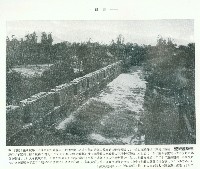 藏品(高雄鳳山縣舊城)的圖片