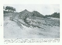 藏品(滾水坪的泥火山)的圖片