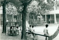 藏品(高雄市立鹽埕國民小學校園景觀-1)的圖片