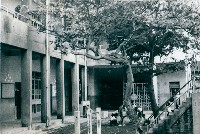 藏品(高雄市立鹽埕國民小學校園景觀-5)的圖片