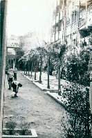 藏品(高雄市立鹽埕國民小學校園景觀-6)的圖片