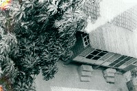 藏品(高雄日式房舍庭院景觀-5)的圖片