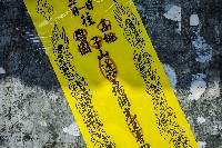 藏品(左營豐穀宮遶境活動-2)的圖片