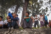 藏品(左營豐穀宮遶境活動-6)的圖片