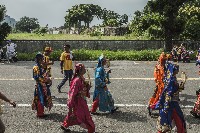 藏品(左營豐穀宮遶境活動-8)的圖片