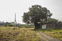 藏品(鳳山縣舊城西門砲台與震洋神社)的圖片