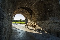 藏品(鳳山縣舊城東門（鳳儀門）-6)的圖片