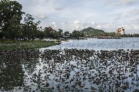 藏品(蓮池潭與半屏山)的圖片