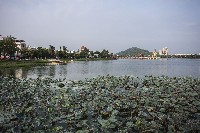 藏品(蓮池潭-3)的圖片