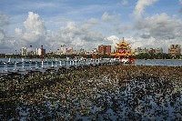 藏品(蓮池潭五里亭)的圖片