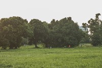 藏品(龜山南側綠地-2)的圖片