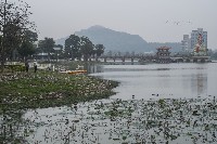 藏品(蓮池潭-7)的圖片