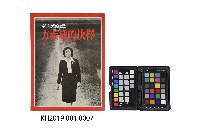 藏品(《對台灣的愛：方素敏的抉擇》)的圖片