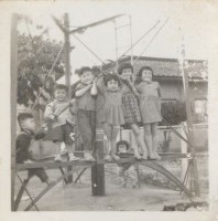 藏品(小朋友玩耍合照)的圖片