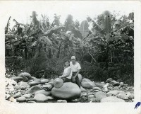 藏品(日光照相館創辦人張仁葵與張劉添妹夫妻兩人於香蕉園前合影)的圖片