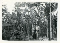 藏品(日光照相館創辦人張仁葵與張劉添妹夫妻兩人於香蕉園合影)的圖片