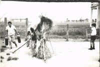 藏品(鳳鳴國小火災演習宣導教育)的圖片