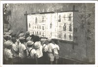 藏品(鳳鳴國小文化宣導-1)的圖片