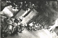 藏品(鳳鳴國小防空演習-3)的圖片