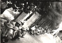 藏品(鳳鳴國小逃生演習-2)的圖片