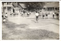 藏品(鳳鳴國小課程教學-1)的圖片