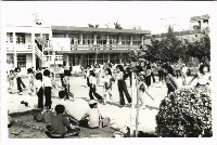 藏品(鳳鳴國小課程教學-3)的圖片