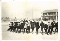 藏品(鳳鳴國小課程教學-4)的圖片