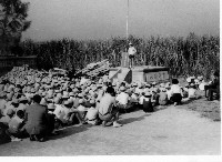 藏品(鳳鳴國小學藝競賽-8)的圖片