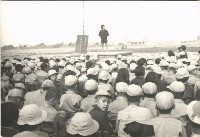 藏品(鳳鳴國小學藝競賽-27)的圖片