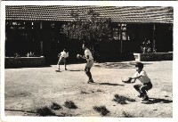 藏品(鳳鳴國小學生棒球運動)的圖片