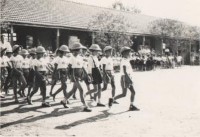 藏品(鳳鳴國小行進練習-2)的圖片