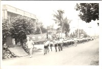 藏品(鳳鳴國小學生遊行-17)的圖片