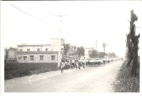 藏品(鳳鳴國小學生遊行-18)的圖片