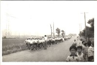 藏品(鳳鳴國小學生遊行-19)的圖片