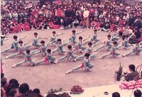 藏品(高雄市鳳鳴國小八十學年度戶外藝術表演-3)的圖片