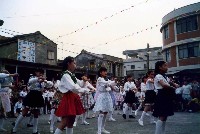 藏品(高雄市鳳鳴國小八十學年度戶外藝術表演-5)的圖片