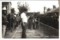 藏品(鳳鳴國小體育競賽-6)的圖片