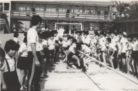 藏品(鳳鳴國小體育競賽-9)的圖片