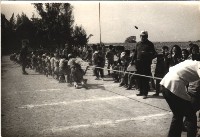 藏品(鳳鳴國小體育競賽-12)的圖片