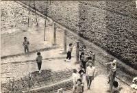 藏品(鳳鳴國小下課時間-1)的圖片