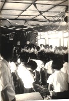 藏品(鳳鳴國小畢業典禮-3)的圖片