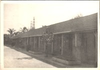 藏品(鳳鳴國小校園景觀-1)的圖片