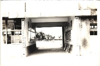 藏品(鳳鳴國小校園景觀-3)的圖片