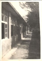 藏品(鳳鳴國小校園景觀-4)的圖片