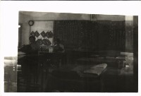 藏品(鳳鳴國小校園景觀-5)的圖片